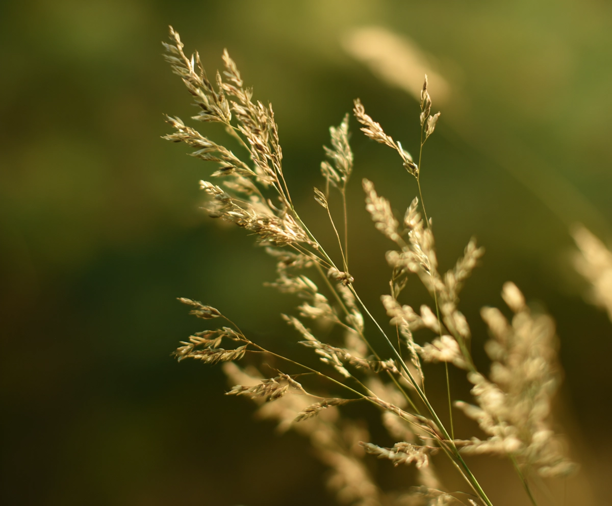 Life coaching for fulfilment and personal renewal in South Africa